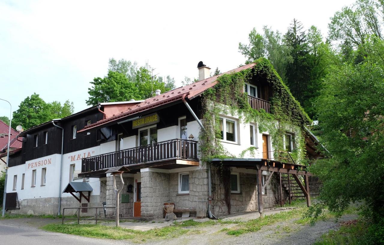 Penzion Maja Josefův Důl Buitenkant foto